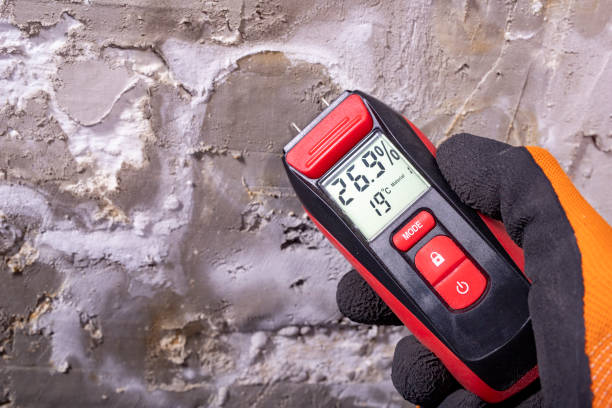  Ashburn, GA Mold Removal Pros